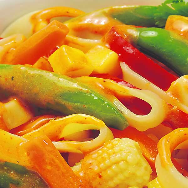 Vegan Asia Red Curry Jütro Tiefkühlkost Vegan Asia Red Curry Jütro Tiefkühlkost