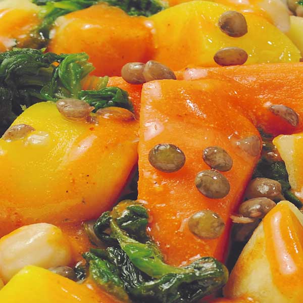 Vegan Gemüse Curry Napapiri Juetro Tiefkühlkost