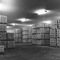 Historie Wiedergründung Konservenfabrik Jütro Tiefkühlkost